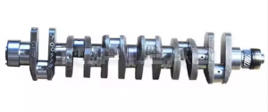 161560020029 Crankshaft