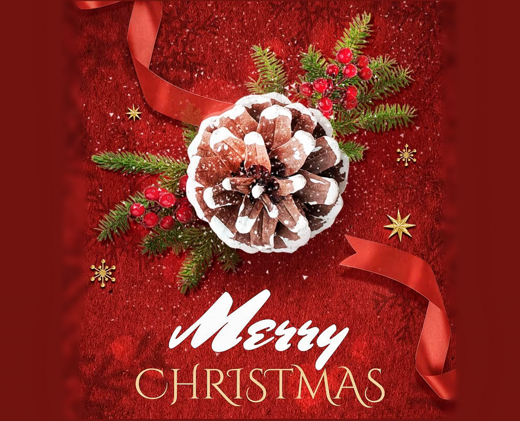 Merry Chrismas！Holiday promotion is on！